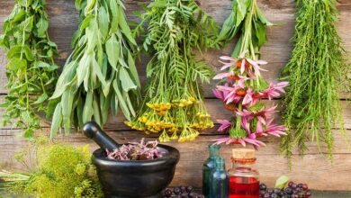 Photo of 10 medicinal plants to prevent colds, colds and flu naturally