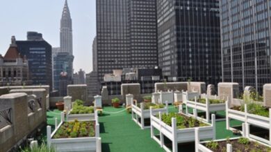 Photo of Rooftop gardens: 7 types of urban gardens on buildings