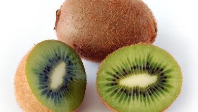 Photo of 21 Most Famous and Delicious Kiwi Types and Varieties