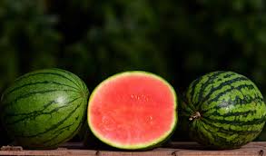 Photo of 7 Most Famous and Delicious Watermelon Types and Varieties