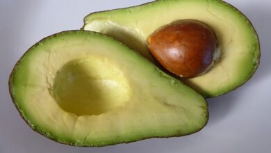 Photo of Avocado bone or seed, does it really have so many properties and health benefits?