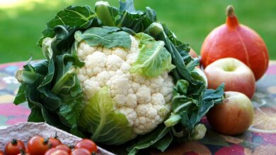 Photo of Cauliflower Pests and Diseases: [Detection, Causes and Solutions]
