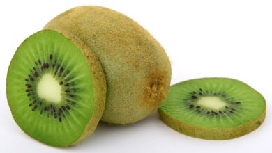 Photo of Kiwi Pests and Diseases: [Detection, Causes and Solutions]
