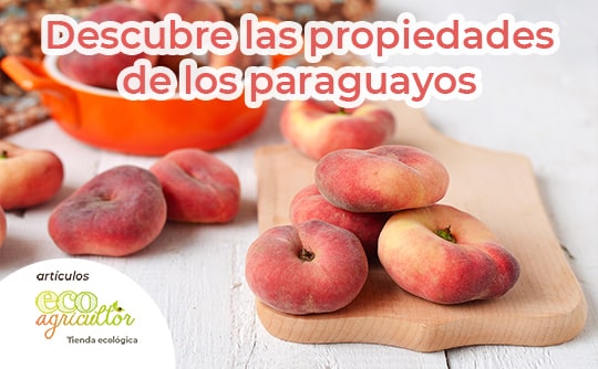 Paraguayan fruit