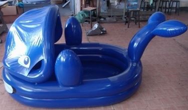 Photo of Inflatable pools