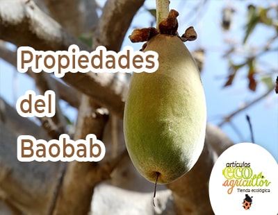 baobab properties