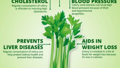 Photo of The nutritional and medicinal benefits of celery