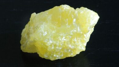 Photo of Sulfur in agriculture
