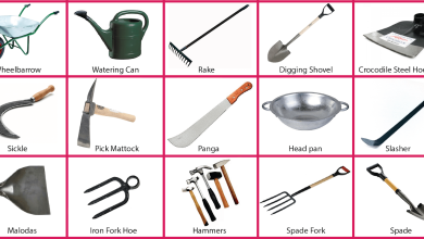 Photo of 10 Gardening Tools: Farming Tools