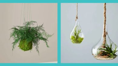 Photo of 10 outdoor hanging plants