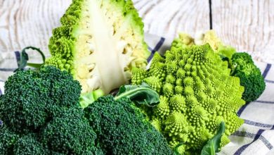 Photo of 11 Most Famous Types and Varieties of Broccoli