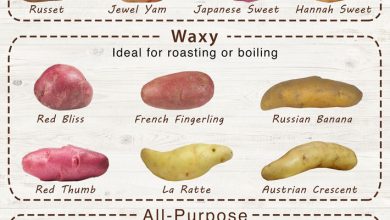 Photo of 15 Most Famous Types and Varieties of Potatoes
