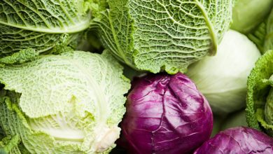 Photo of 4 Most Famous Types and Varieties of Cabbage