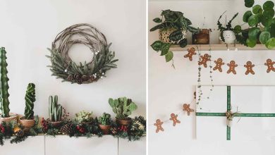 Photo of 5 Christmas decoration ideas with natural plants