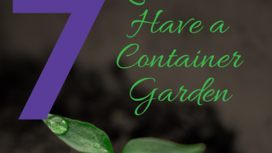 Photo of 5 Reasons to have your Garden in Pots: Do not think twice