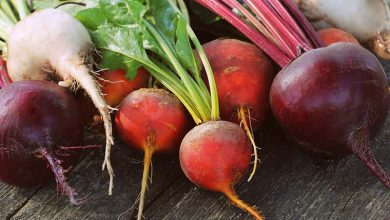 Photo of 6 Most Famous Types and Varieties of Beetroot