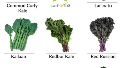 Photo of 6 Most Famous Types and Varieties of Kale