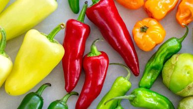 Photo of 7 Most Famous Types and Varieties of Peppers