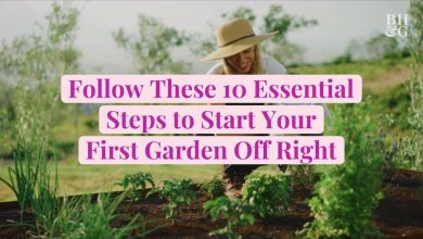 Photo of [7 Tips] For the Perfect Care of your Garden