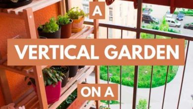 Photo of A garden on the balcony: How to Create and Cultivate it