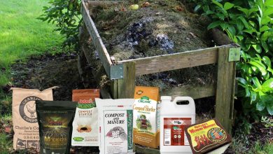 Photo of Analysis of the 5 Best Compost for your Garden and Plants