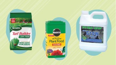 Photo of Analysis of the 6 Best Fertilizers for Plants: Which One to Buy?