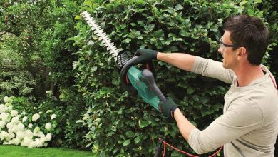 Photo of Analysis of the Best Electric Hedge Trimmer: Which One to Buy?