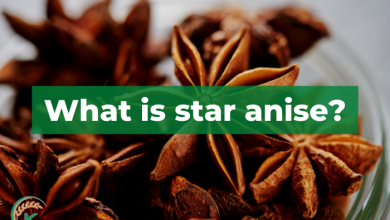 Photo of Anise: [Cultivation, Irrigation, Care, Pests and Diseases]