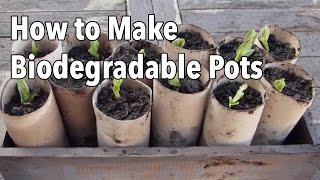 Photo of Biodegradable pots: Recycled materials for the garden