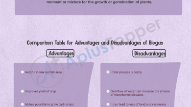 Photo of Blanket Irrigation: [Concept, Advantages, Disadvantages and Crops]