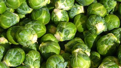 Photo of Brussels sprouts