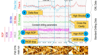 Photo of Cascarudito Drill: [Characteristics, Detection, Effects and Treatment]