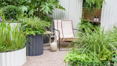Photo of Chelsea Flower Show: new container ideas for the urban garden