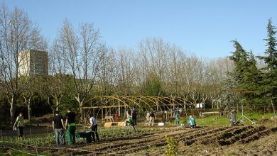 Photo of Community garden in Madrid: HuertAula Cantarranas