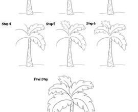 Photo of Complete Guide to Learn to Plant Palm Trees [Step by Step]