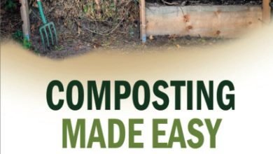 Photo of Compost: [Complete Guide to make your own Compost]