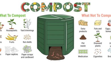 Photo of Compost FAQ: Everything you need to know