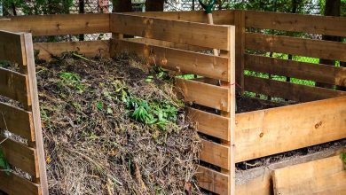 Photo of Composting for Confined Spaces: Complete Guide