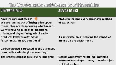 Photo of Copper in Plants: [Use, Shortcomings, Advantages and Disadvantages]