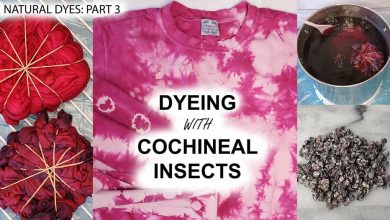 Photo of Cottony Cochineal: [Detection, Steps to follow and Products to use]