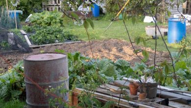 Photo of Cultivate an Urban Garden: Urban Composter step by step