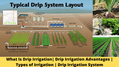 Photo of Drip Irrigation: [Concept, Types, Operation and Advantages]