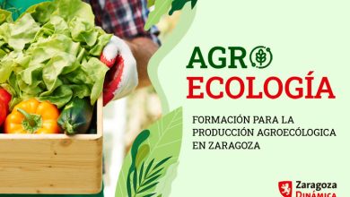 Photo of Ecological agroschool in Zaragoza. #WeWantToGetToKnowYourOrchard