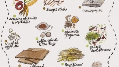 Photo of Garden Compost: Everything you need to know about compost