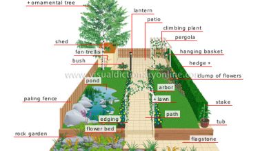 Photo of Garden Dictionary, to cultivate the garden