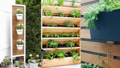 Photo of Garden in Planters: How to make a garden in a small space