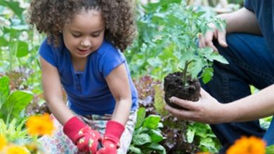 Photo of Gardening for children: teach them to plant