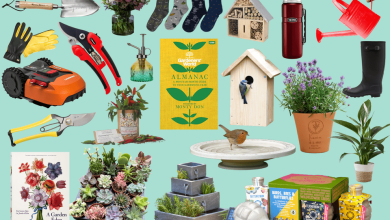 Photo of Gardening gifts: 5 ideas for this Christmas