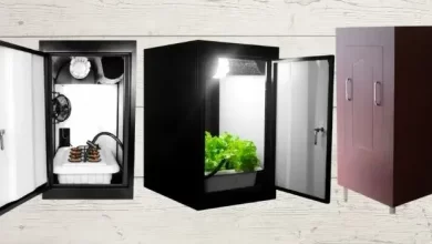 Photo of Grow cabinets at home. Advantages, disadvantages, where to buy them
