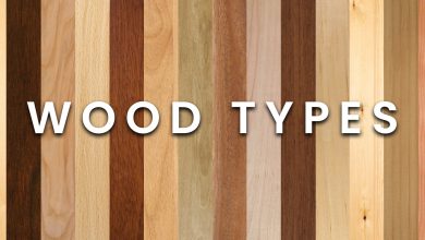 Photo of Guide to Wood: Types, Uses and Examples